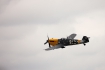 Hispano HA-1112-M1L Buchon